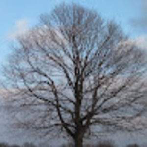 Meet your Posher, Meg